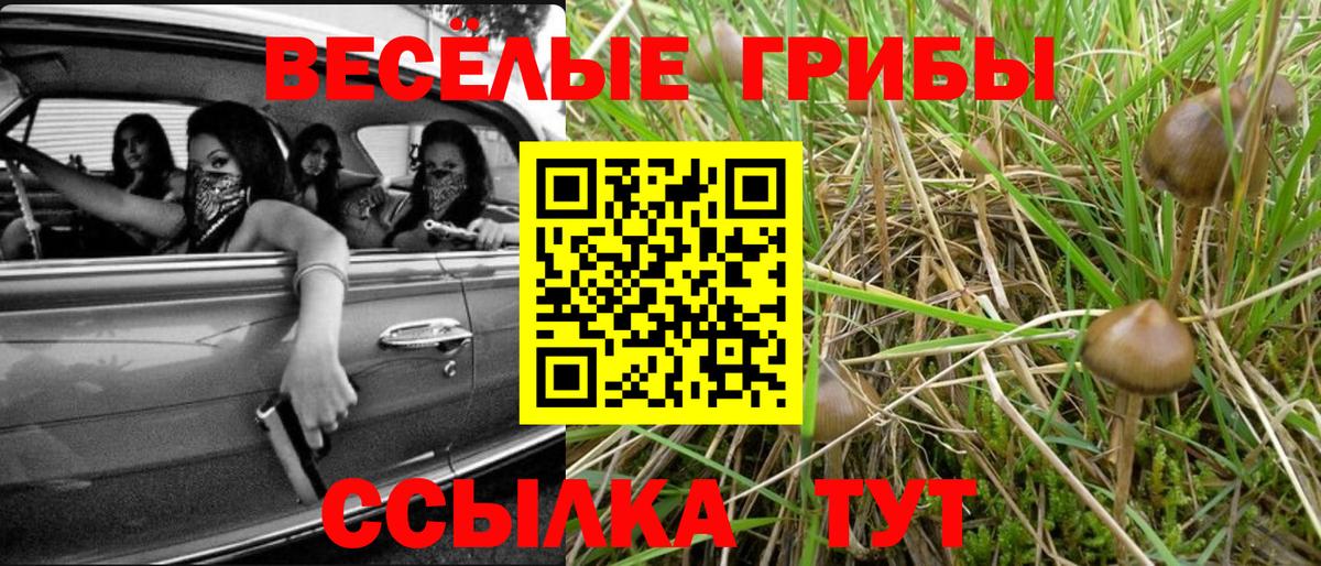 Псилоцибиновые грибы Magic Shrooms  Вход с VPN  Псилоцибиновые грибы ЛСД  Владикавказ 